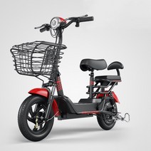 [ENGWE] 전기자전거 2인용 킥보드2인용 전동자전거 전동스쿠터 48V 80KM, 60km, 노란색