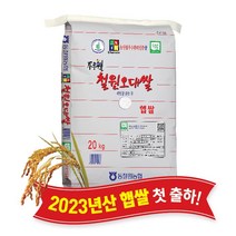 [당일도정] [동철원농협 직접운영] 2023년산 두루웰 철원오대쌀, 햅쌀 20kg, 1개