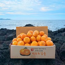 세상모든농부 새콤달콤 제주 귤 노지 타이벡 비가림 감귤, 제주 감귤 혼합과 10kg