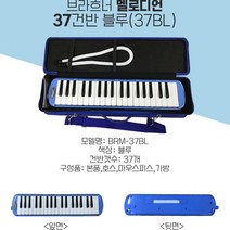 브라흐너 멜로디언 32 36 37건반(블루 민트 그린 오렌지), 37건반-블루