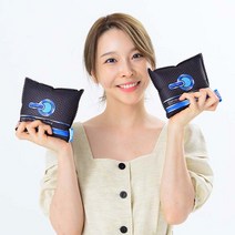 차습킬 집습킬 실리카겔 제습제 습기제거제 집안 차량용 핑기, 가정용 150g 1개
