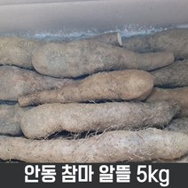 태산농장 참마 5k(장마 산마), 1box, 02_장마 중품 5kg