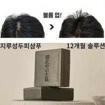 지루성두피샴푸 12개월 솔루션