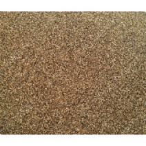 잔대씨앗 500립/잔대종자/딱주/사삼/재래종