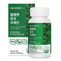 내츄럴플러스 혈행앤 징코 브레인 징코추천 징코효능 기억력좋아지는영양제