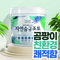 결로방지페인트 자연숨 규조토페인트 18kg 곰팡이방지 벽지 항균 베란다 실내 단열페인트, 23.그린A(하단 색상표참조), 1개