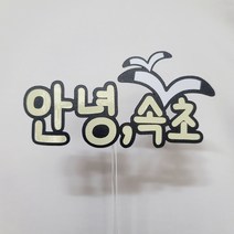[지브리토퍼] 여행토퍼-속초 [여행지 변경 가능], 속초여행토퍼