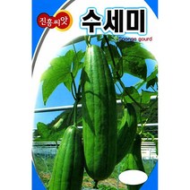 팜스마켓 수세미씨앗 20립 채소종자, 수세미 씨앗 20립