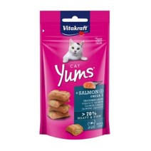 반려공간 비타크래프트 캣얌 연어 40g 고양이 간식, 12개묶음