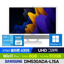 삼성전자 올인원PC DM530ADA-L15A 사무용 인강용 가정용 가성비 일체형PC (셀러론/UHD그래픽/윈도우11 Pro), 512GB, 8GB, 윈도우 포함