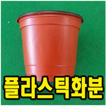모종포트 식물화분 플라스틱미니컵 110mm 4개세트WS002