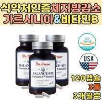 40대 남자 남성 뱃살 복부 내장 지방 다이어트 가르니시아 식약처인증 30대 50대 뱃살빼는법 살빠지는 DIET 탄수화물억제제 비타민B 2주 한달 단기간