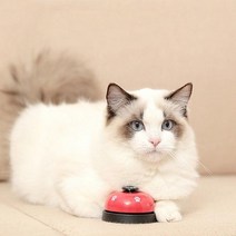 애구애구Oem 강아지 고양이 간식 장난감 훈련벨 노즈워크 IQ, 띠링 간식벨, 이미지참조
