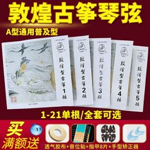 가야금 줄 25현가야금 12현가야금 거문고 Dunhuang guzheng 문자열 A 유형 표준 범용 1-10 초보자 전문 163CM 1-21 전체 세트