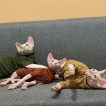chol 스핑크스 고양이 가을 겨울 탄력 티셔츠 XS-XXL, 그린