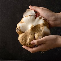 히카마 5KG(5-7과 내외) 멕시코감자, 10KG(10-14과 내외)