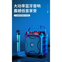이동식 버스킹 앰프 마이크 포터블 장비 행사용, 6.5인치 (리모콘) 무선 마이크 2개