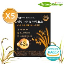 웰핏 자연속 하루효소 43종 곡물 발효 효소 유산균 3g, 1) 5박스(5개월)