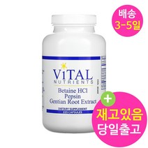 Vital Nutrients Betaine HCl 펩신 Gentian Root Extract 225 캡슐