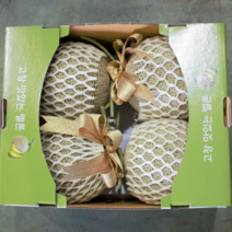 (승우아빠 출연) 10/4발송 고당도 고창 머스크 멜론 5kg 8kg 선물포장, 8kg(3~4수)