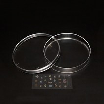 페트리 접시 패트리 디쉬 150 멸균 샬렛 접시 세균 배양 실험 플라스틱 샬래, 페트리 디쉬 150 1팩 ＋ 사은품 증정