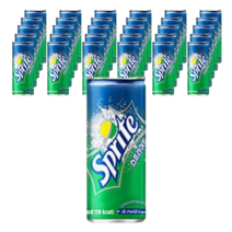 스프라이트250ml 30캔