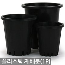 플라스틱 재배분(1P) - 화분 플분 양란 녹차 난화분 란화분 난재배분 양란화분 난재배 녹차재배분 긴화분, 02_청운_재배분(5호)