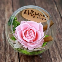 [바보사랑] 시들지않는 꽃 한송이 장미 유리병 프리저브드, 색상선택:한송이장미유리볼(핑크) / 픽선택:사랑합니다