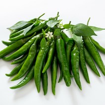 맛있게 매운 청양고추 1kg 3kg 5kg 10kg, 1박스, 청양(특) 5kg