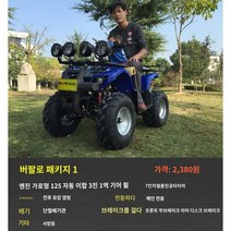 ATV 사륜바이크 4륜구동 4륜 오프로드 빅불 가솔린 전동축 전지역 형성 인간 AT 모터사이클, 10 송아지 세트1