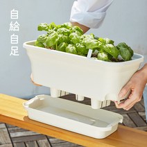 자급자족라이프 자동급수 화분 세트 (배양토+씨앗) 저면관수/베란다 텃밭 화분/상추 바질 루꼴라 방울토마도 중 2택, 브라운