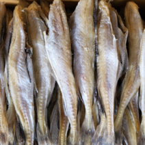 바로구워서 술안주 간식 밑반찬으로 최고!!! 반건조 노가리(17~25마리) 1kg(수령시 녹아서 물이 생길수 있어요.냉동보관)