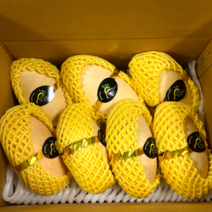 태국 골드 망고 직수입 항공직송 태국산 골드 망고 2.5kg 5kg, 5kg(14과수내외), 1개