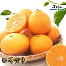 올찬 [올찬] 황금향 5kg 13~22과 (왕특대/특대), 1
