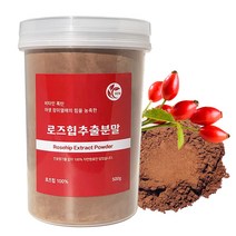 신영몰 로즈힙 추출분말 500g 수입 로즈힙 100% 농축, 1팩