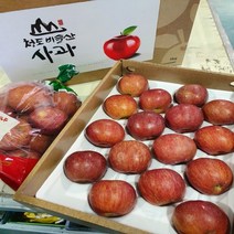 (다달다유통)정품 산지직송 고당도 청도 꿀사과 부사사과 16내~18내 5kg 경북 청송 안동