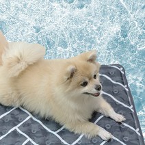 강아지 고양이 애견 여름 아이스 쿨매트 여름방석, 아이스 쿨매트 그리드