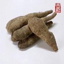흙사랑농원 안동 산마, 1개, 산마 중품(알뜰) 5kg