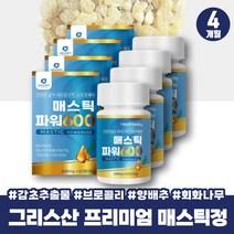 감초추출물 브로콜리 분말 매스틱정 메스틱정 메스틱검 하이 메스틱 마스틱 매틱스 MASTICGUM 매스틱검 매스틱 파우더 매스틱나무 MASTICGUM 매틱스 헬리코박터균 테르펜 하이매스틱