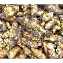 자연건조 진도울금가루(진도울금분말) 300g 커큐민 강황, 자연건조 진도울금가루(진도울금분말) 300g-2병