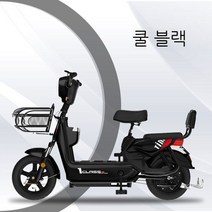 가성비전기자전거 세발 2인용 전기자전거 전동 자전거 자토바이, B. 검은 색