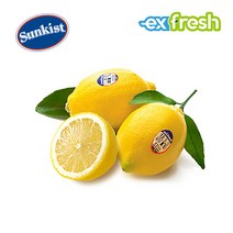 인기 많은 레몬6kg중과 추천순위 TOP100 상품을 확인하세요