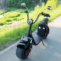2인용 할리 전동 전기 배달용 스쿠터 바이크 오토바이 SP08, 1500W, 12Ah
