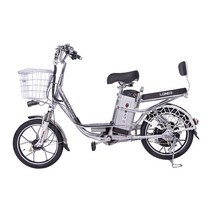 WARCK 전기자전거 20인치 성인 대보 전기자전거 2인용 경량 전기자전거 48V480wh-10A, 은색