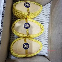 MMSc_애플망고 5Kg 골드 20브릭스yza117, 골드망고 5kg 14과 내외 350g내외