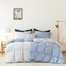 [소프라움] 사르르.G 구스다운80% 사계절 차렵이불 퀸 (블루 핑크)