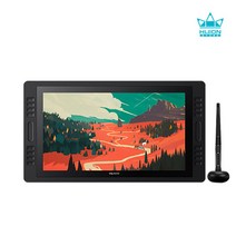 휴이온 KAMVAS PRO 20 정품 액정타블렛 드로잉패드 그래픽 디지털페인팅