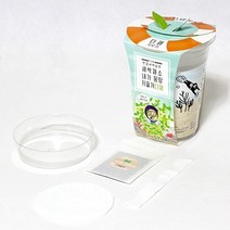 틔움세상 화분재배키트 한컵새싹농장 새싹채소 키우기, 유채