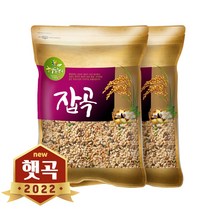 현대농산 2022년 햅쌀 렌틸콩 귀리혼합 20곡 10kg (5kgx2봉), 단품