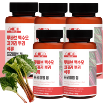 굿필랩 루바브 치커리 뿌리 백수오 석류 정 여성 갱년기 영양제 5통 10개월, 60정, 5개